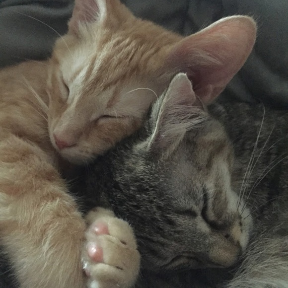 Meet your Posher, Kelli - Picture 3 of 3